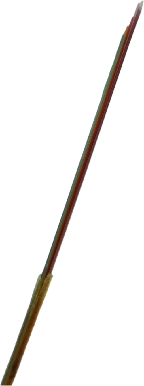 20260625 0747410